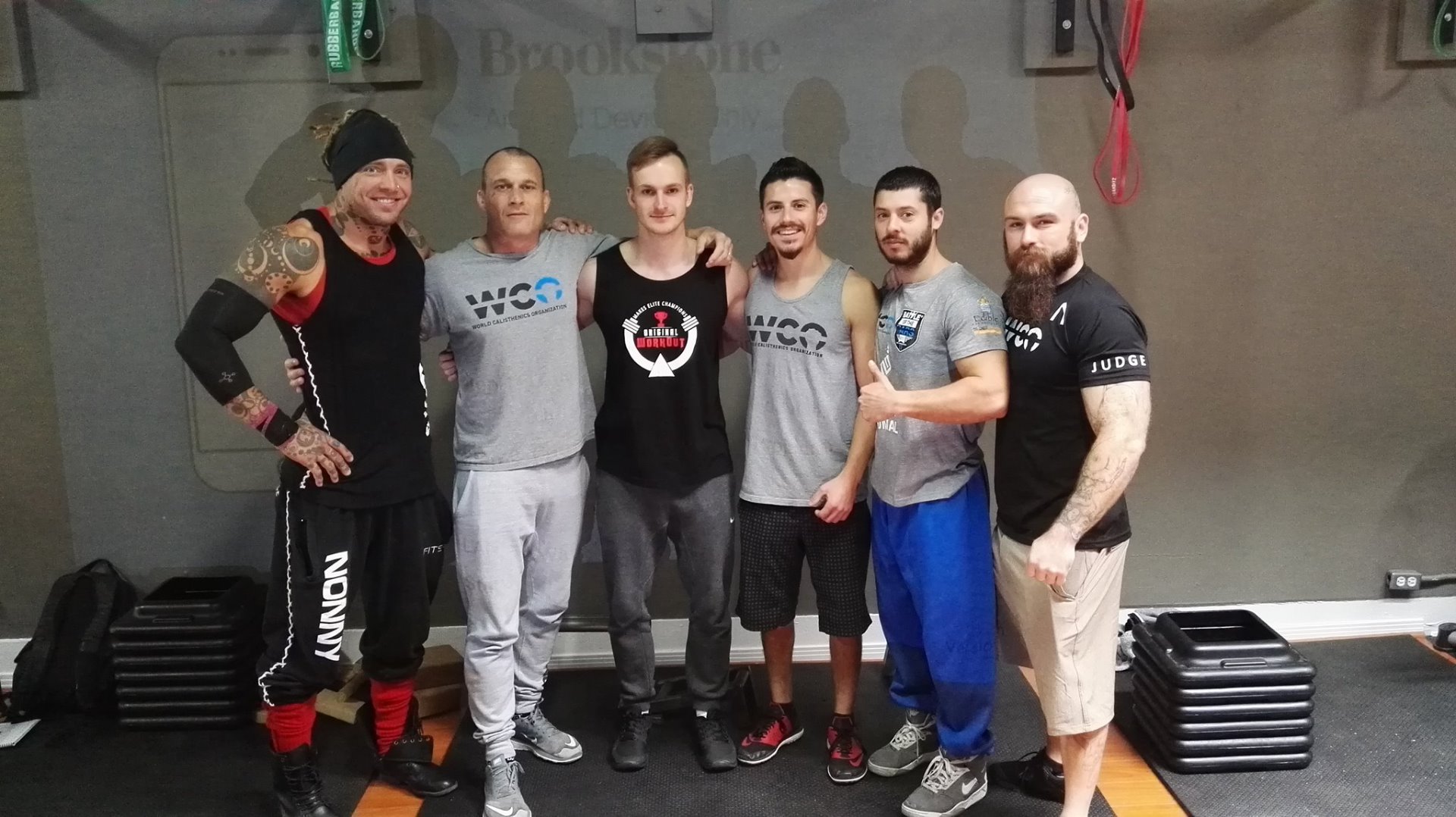 World Calisthenics organization workshop Level 1 a 2, San Diego 2017, z leva @davidnonnynonemacher, @brendancosso, moje maličkost, @muscle_up_jarvis, @progressive_calisthenics (Kenneth Gallarzo) a @tatted_strength